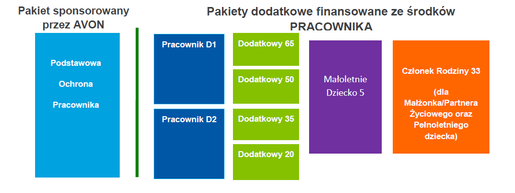avon struktura programu